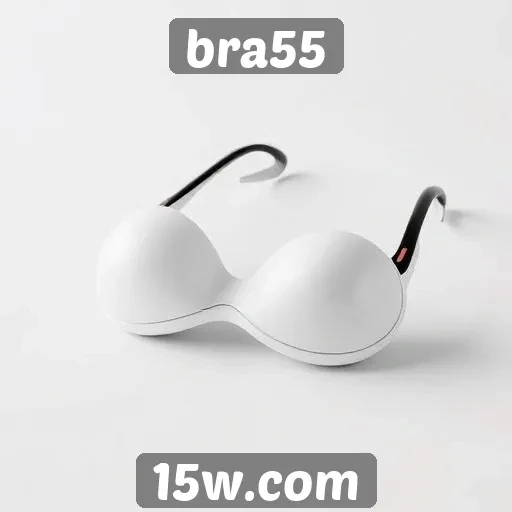 Facilidade de navegação no bra55